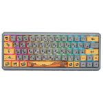 Camel Tech - The Oasis LE Bundle - YS