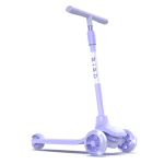 Bird - Birdie Glow - Electric Twilight