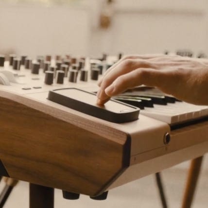 PolyBrute 12 13