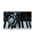 Roland - RH-5 Montior Headphones - Image 2