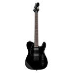 ESP - LTD TE-200 Series Electric Guitar Black Finish