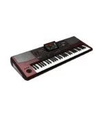 Korg - PA1000 Professional Arranger Keyboard 61 KEYS
