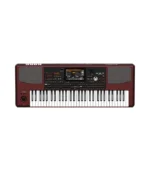 Korg - PA1000 Professional Arranger Keyboard 61 KEYS